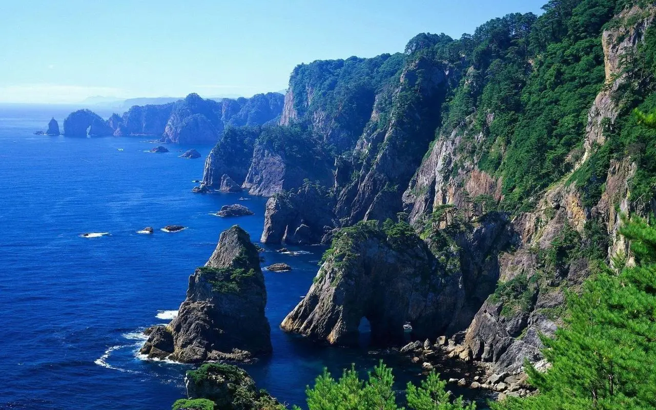全自动节能先进